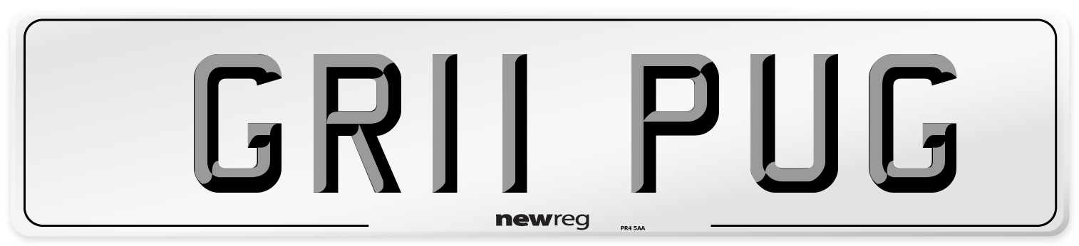GR11 PUG Number Plate from New Reg